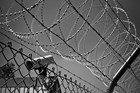 barbed-wire-1670222__340