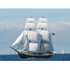 Sail Den Helder 2013 zoekt ‘Ambassadeurs’ en ‘Vrienden’