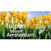 Uitnodinging kick off Tulpen boven Amsterdam
