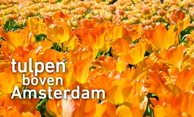 tulpen boven Amsterdam