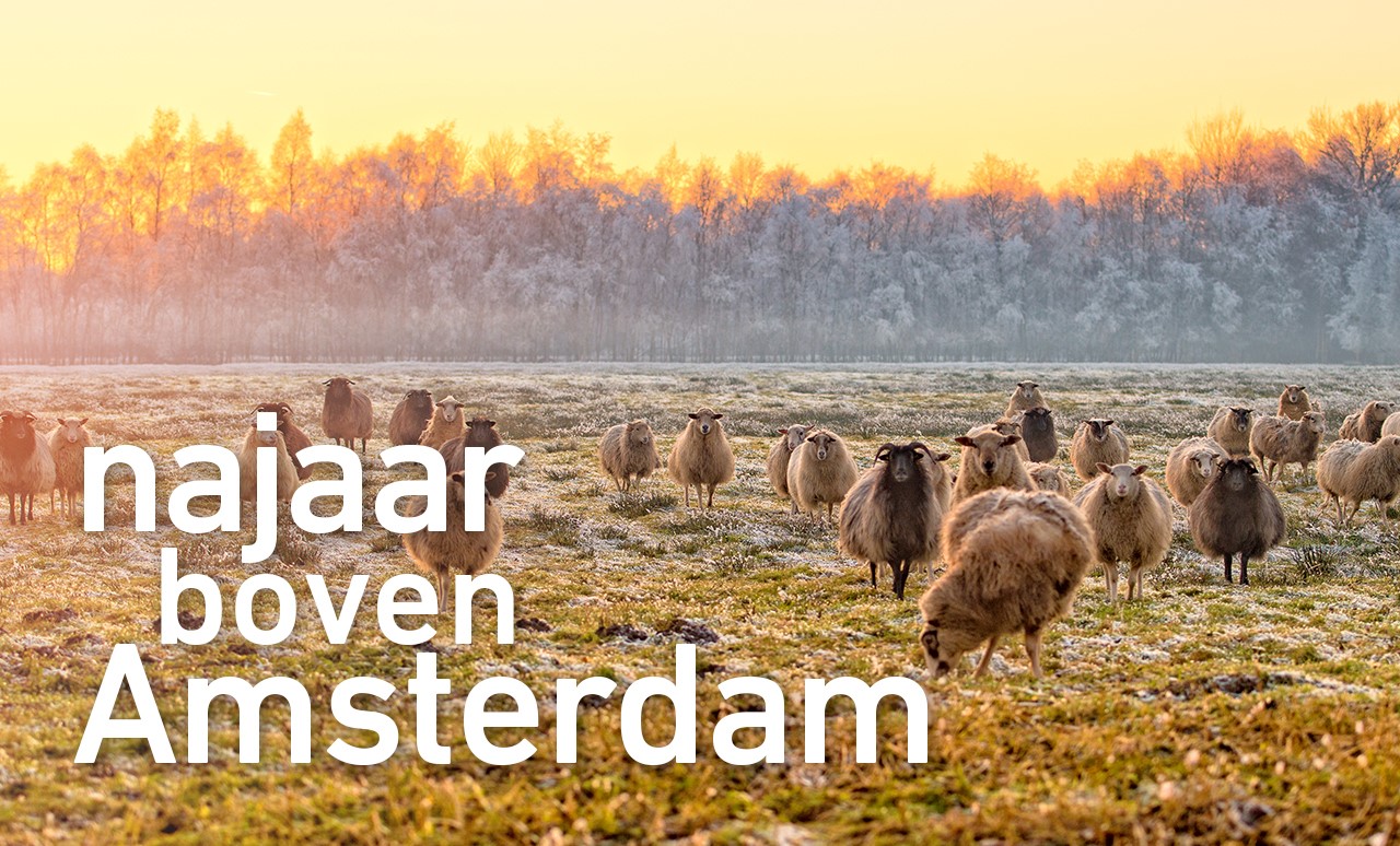 Najaar boven Amsterdam