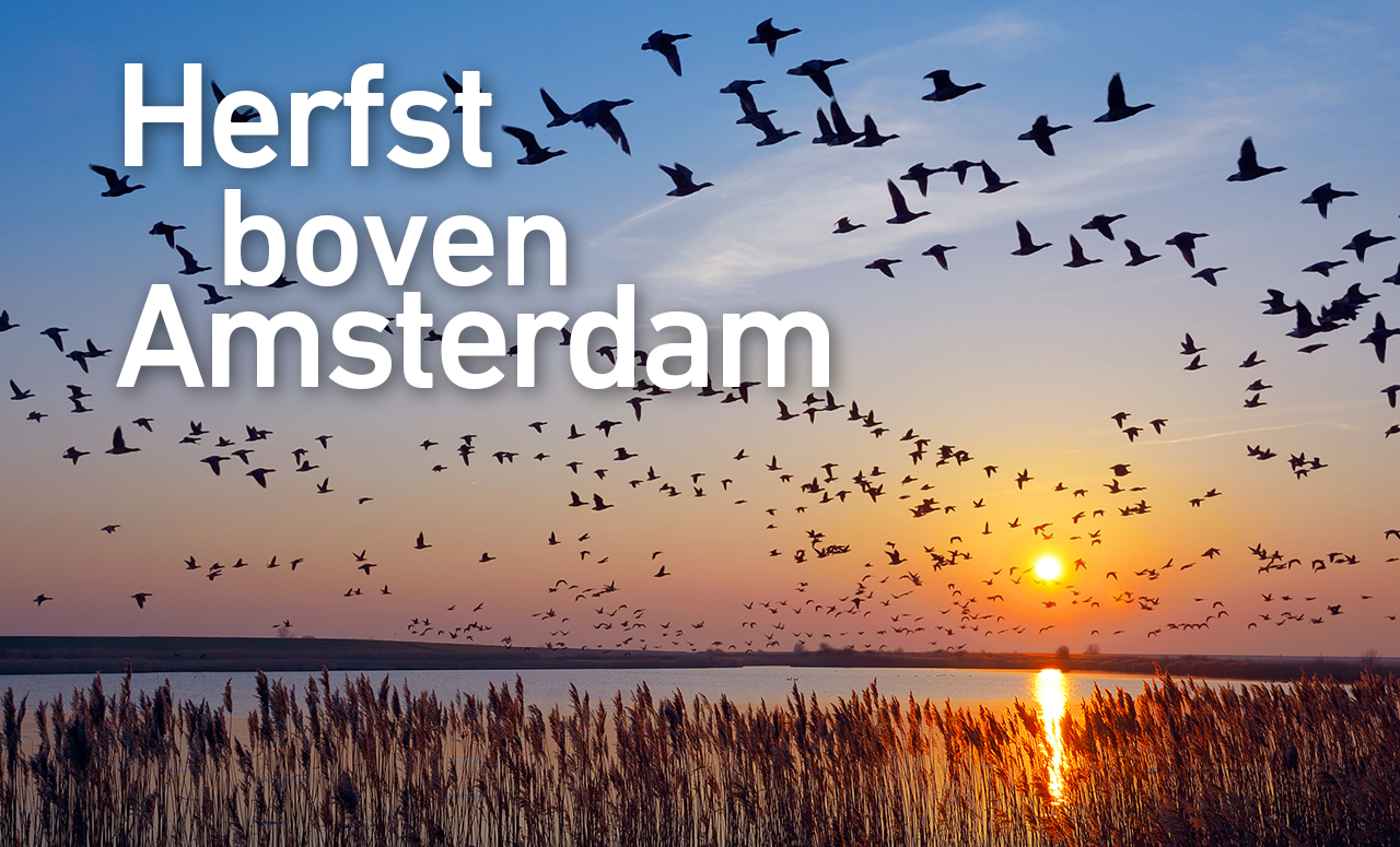 Beleef de herfst in Westfriesland met deze tips