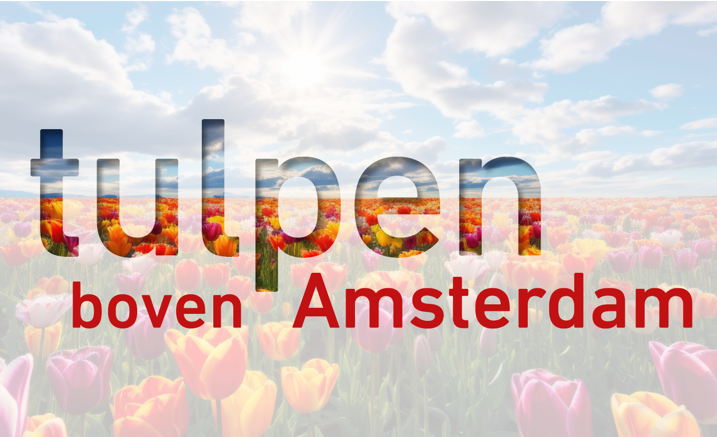 Save the date: kick-off van het tulpenseizoen 2024