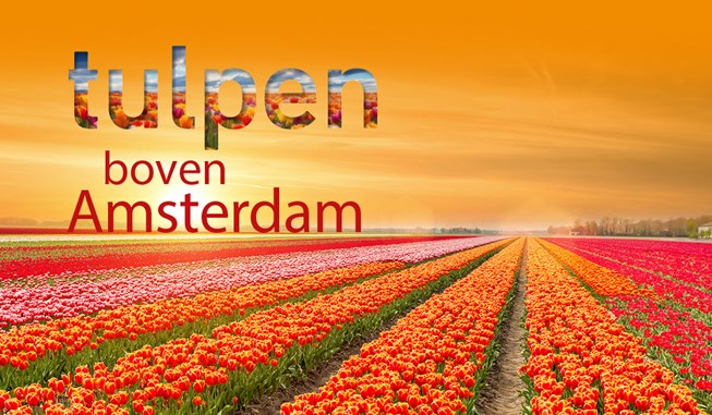 Tulpen boven Amsterdam