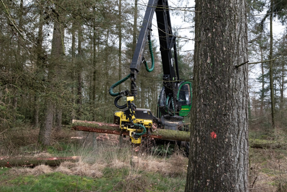Houtoogst-met-harvester
