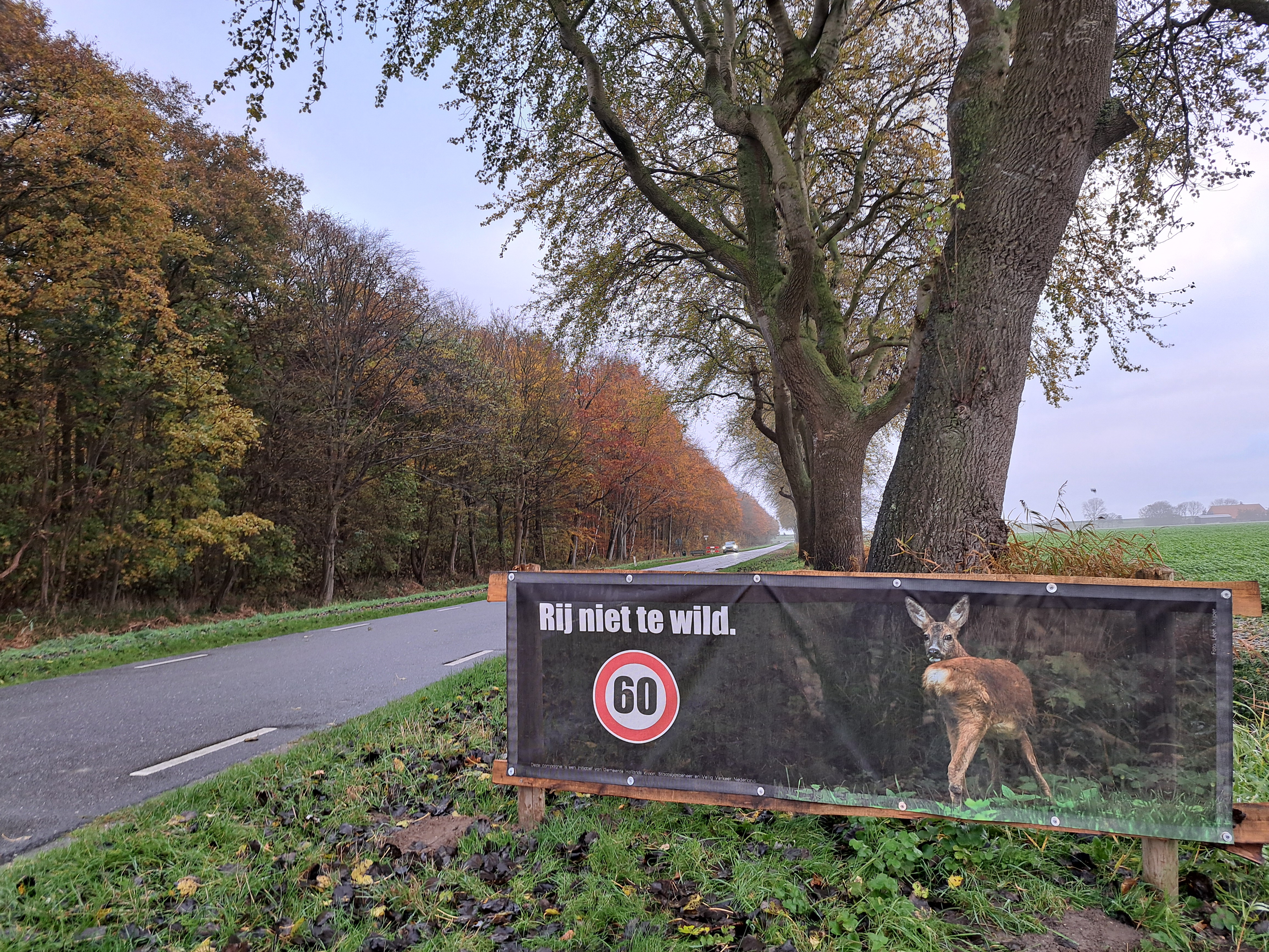 Campagne ‘Rij niet te wild’ van start rondom Robbenoord- en Dijkgatbos