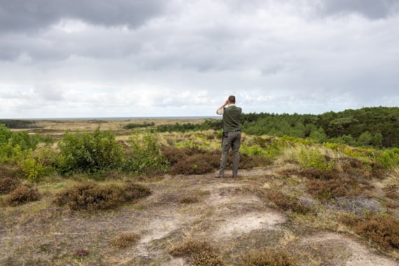 26443-BOA-op-de-uitkijk@Joep-Bergfeld